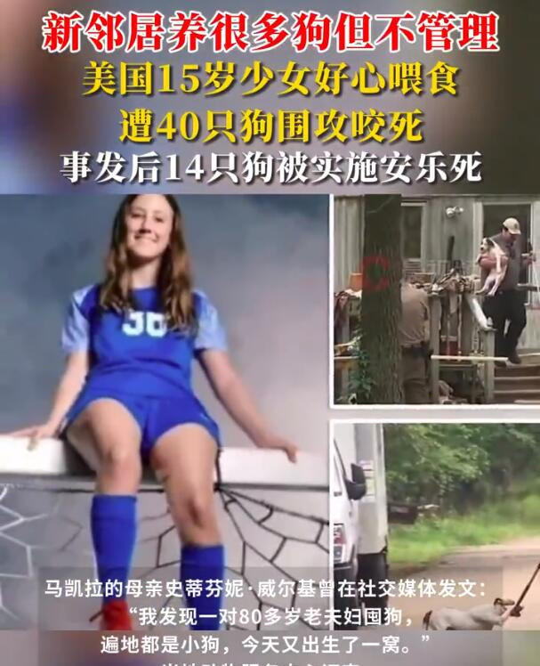 少女喂狗惨遭围攻，人间惨剧谁之过？天呐！难以置信！花季少