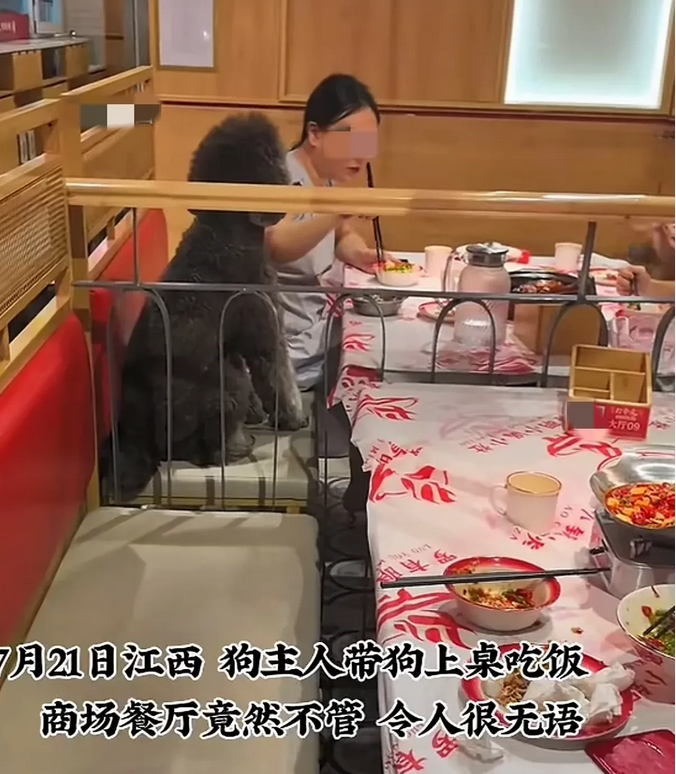 女子带爱犬一起吃火锅被网暴，商家的回应让网暴女子的网友更加坐不住了！他说：“我们