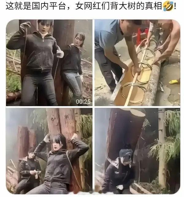 现在你还相信网红吗？​​​
