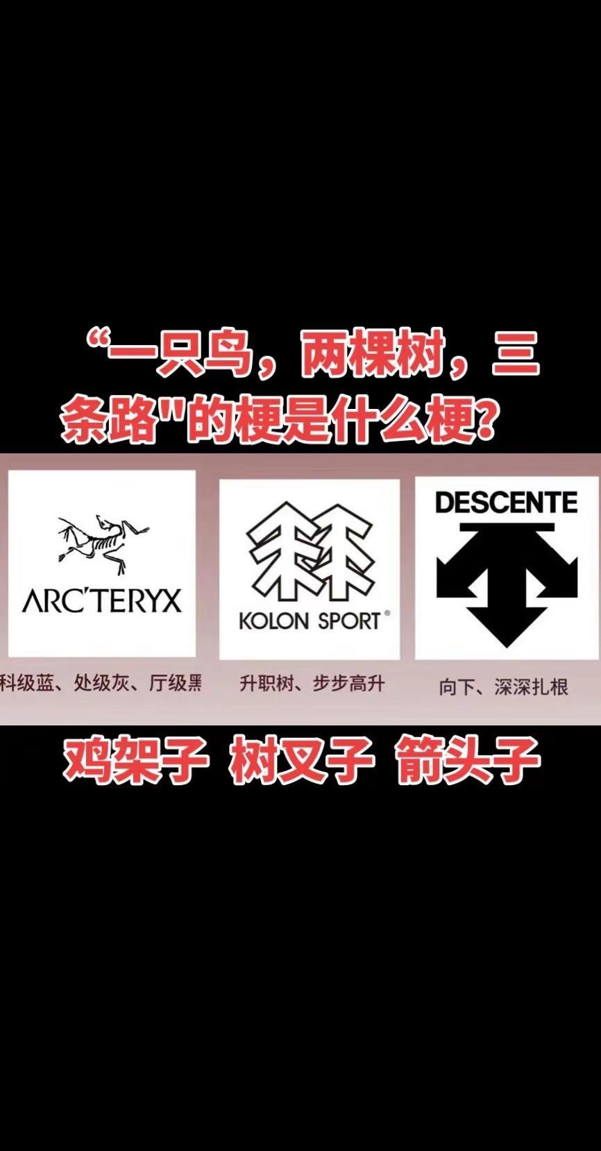 一只鸟，两棵树，三条路，中年男人有三宝！上热门梗图挑战