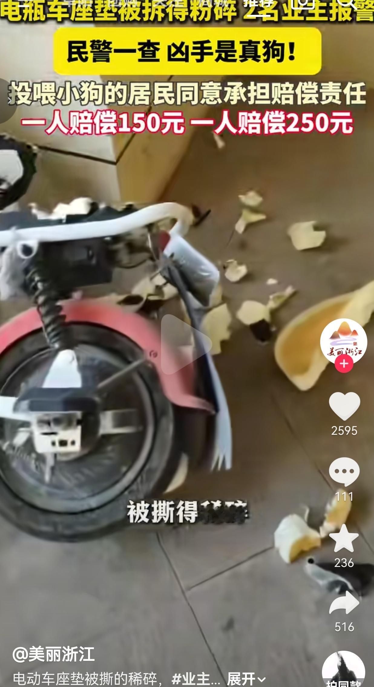 浙江宁波离谱“狗案”：电瓶车坐垫集体被撕碎，民警破案后哭笑不得谁能想到，业