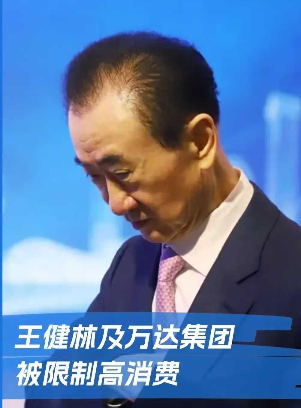 我怀疑过王建林想跑路，也怀疑过王建林想当老赖！但是我万万没想到的是，他今