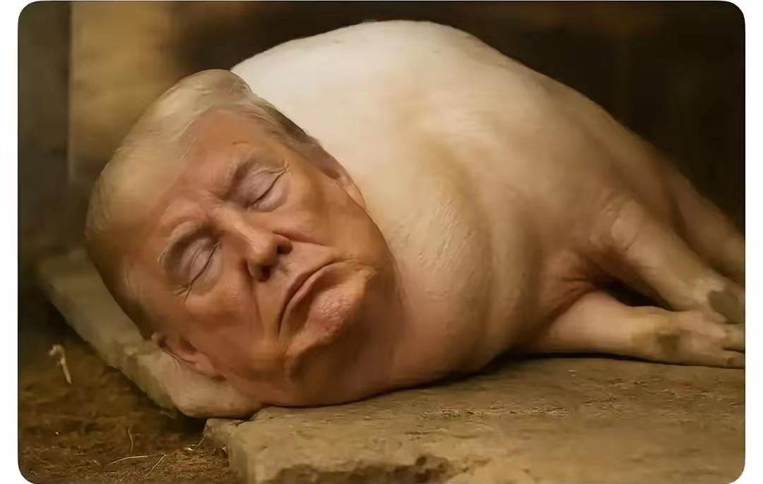 中方实施史上最大规模制裁美国企业及个人，成全球唯一敢硬刚美国的国家。在特朗普4