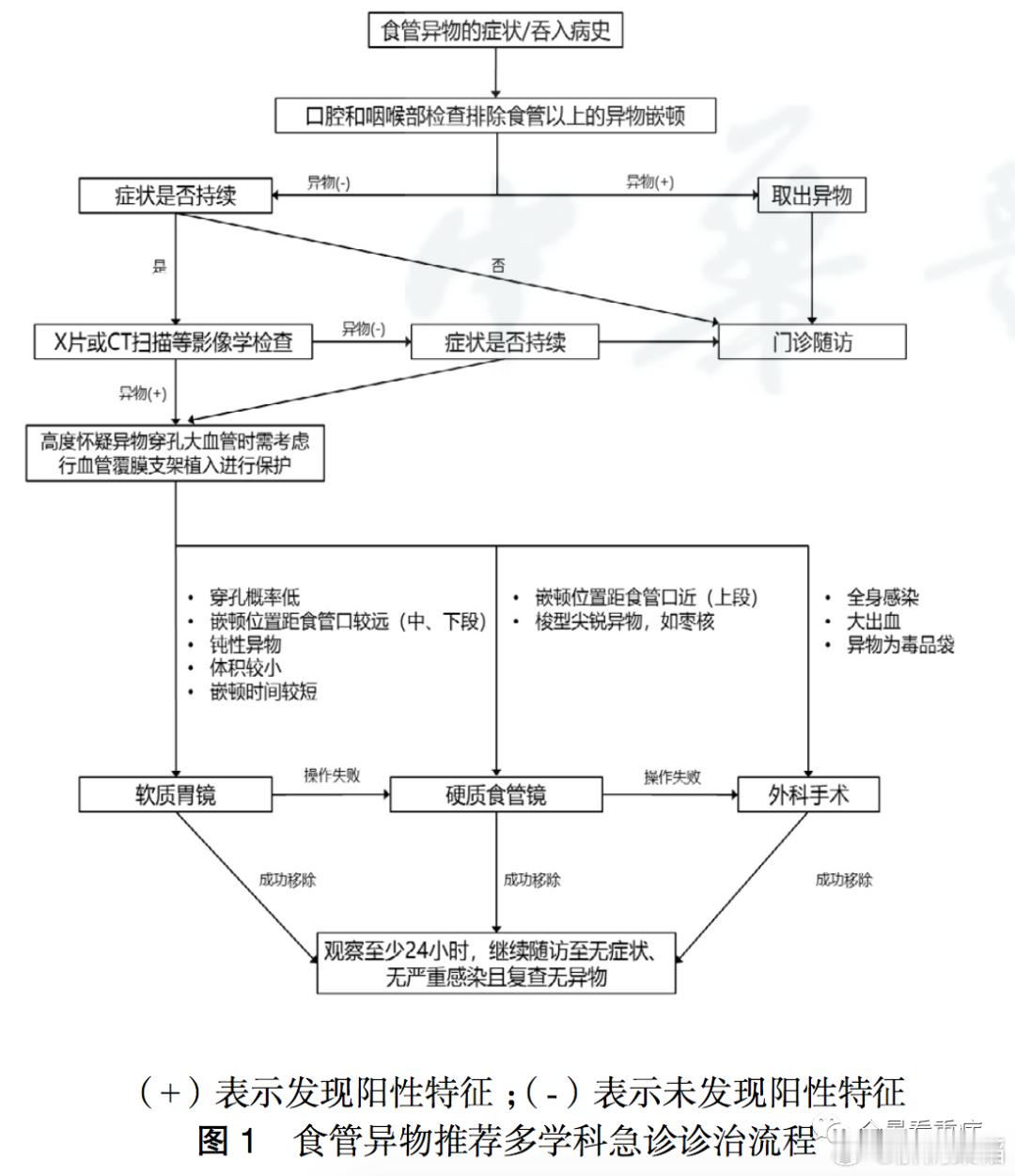 2020年国内食管异物专家共识，推荐使用食管硬镜，我寻思现在还有硬镜？全麻+软镜