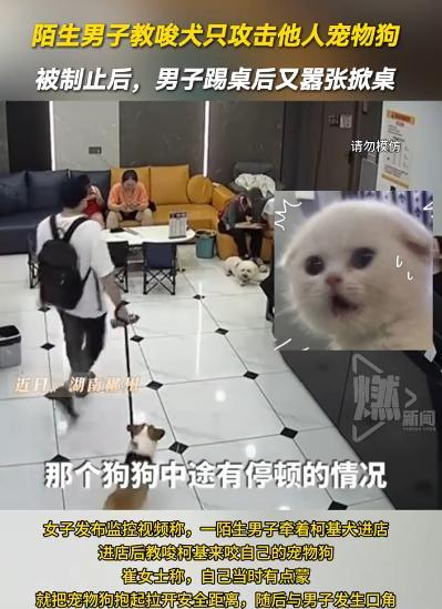 “这就是纯坏！”2025年6月，湖南，一陌生男子教唆自己的狗，去攻击别人的宠物狗