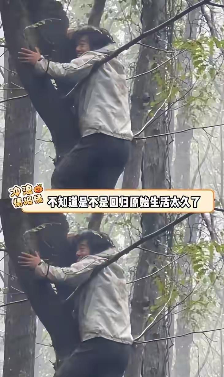 “荒野求生现惊魂！”张家界中国版“荒野求生”赛事中，选手们处境凄惨，唯一女选手“