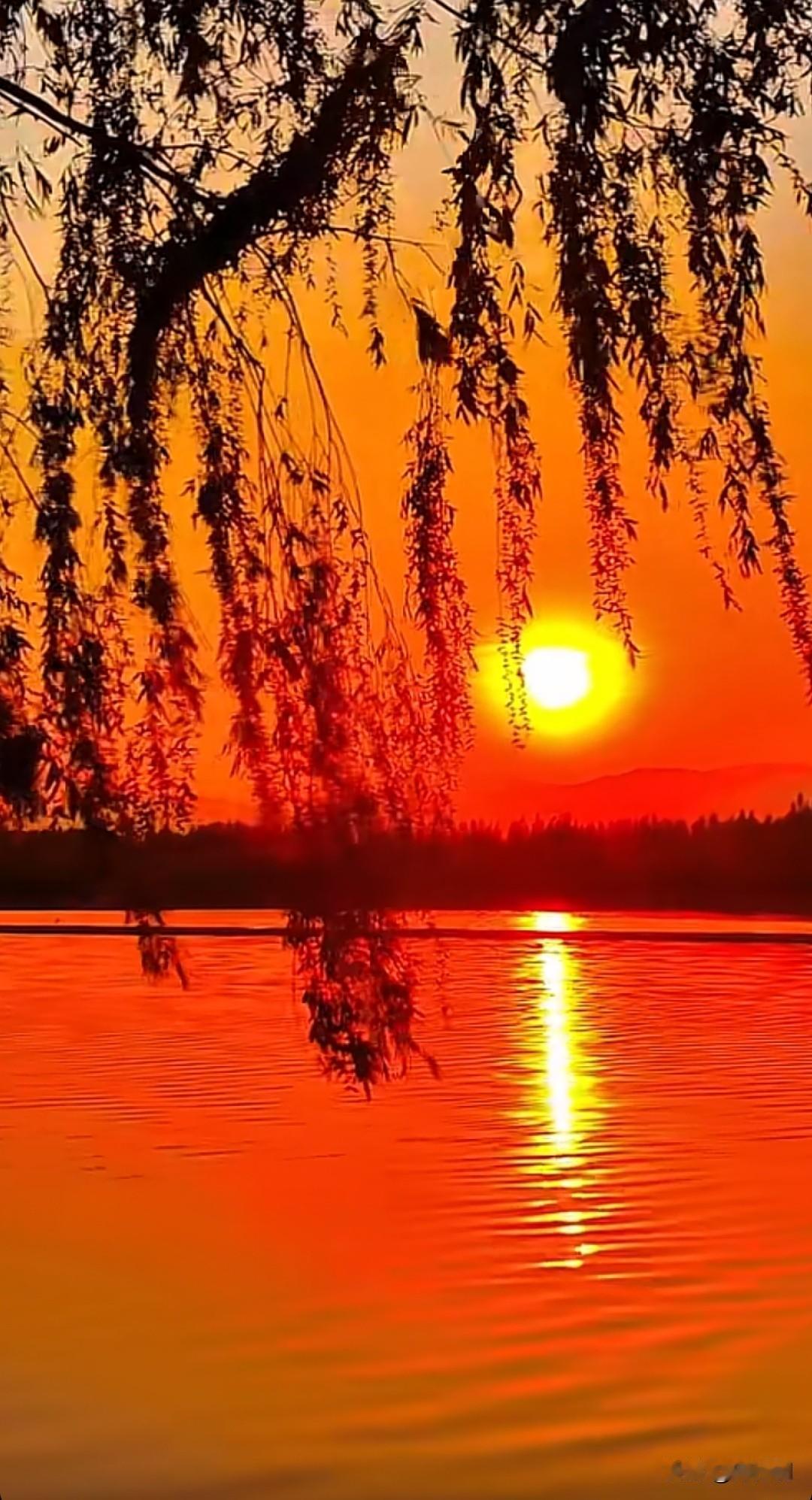 七律·醉美夕阳霞铺远水半江红，归雁斜穿锦浪中。牧笛吹残云外路，渔舟载尽岭