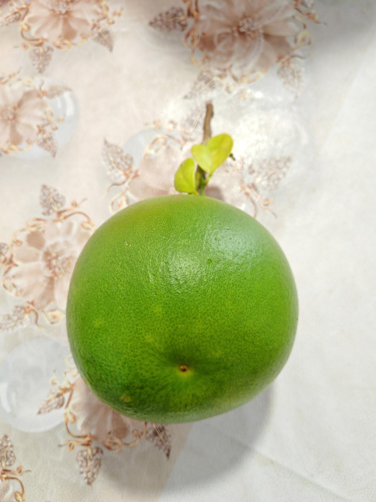 可惜了！楼顶花盆里种的一棵柚子树，今年才结了一个柚子，我满心欢喜地等它长大。台风