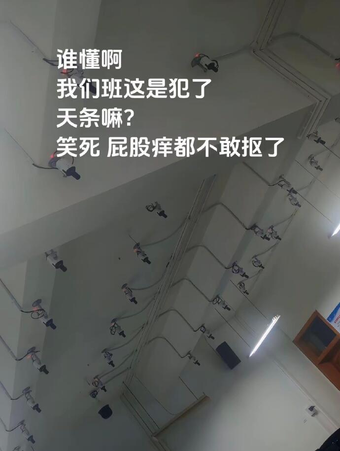 有时候觉得学校穷点也挺好的[捂脸哭]假日先疯派春日放个疯​​​