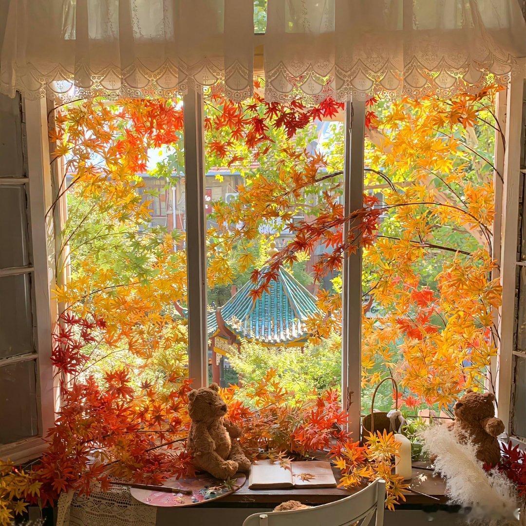 秋日的温柔藏在每一片落叶里，窗前的风景，脚下的路，都是诗🍂​​​