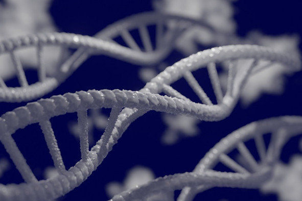 【打开计算新大门！DNA分子计算机突破2纳米半导体工艺极限】据媒体报道，韩国科学