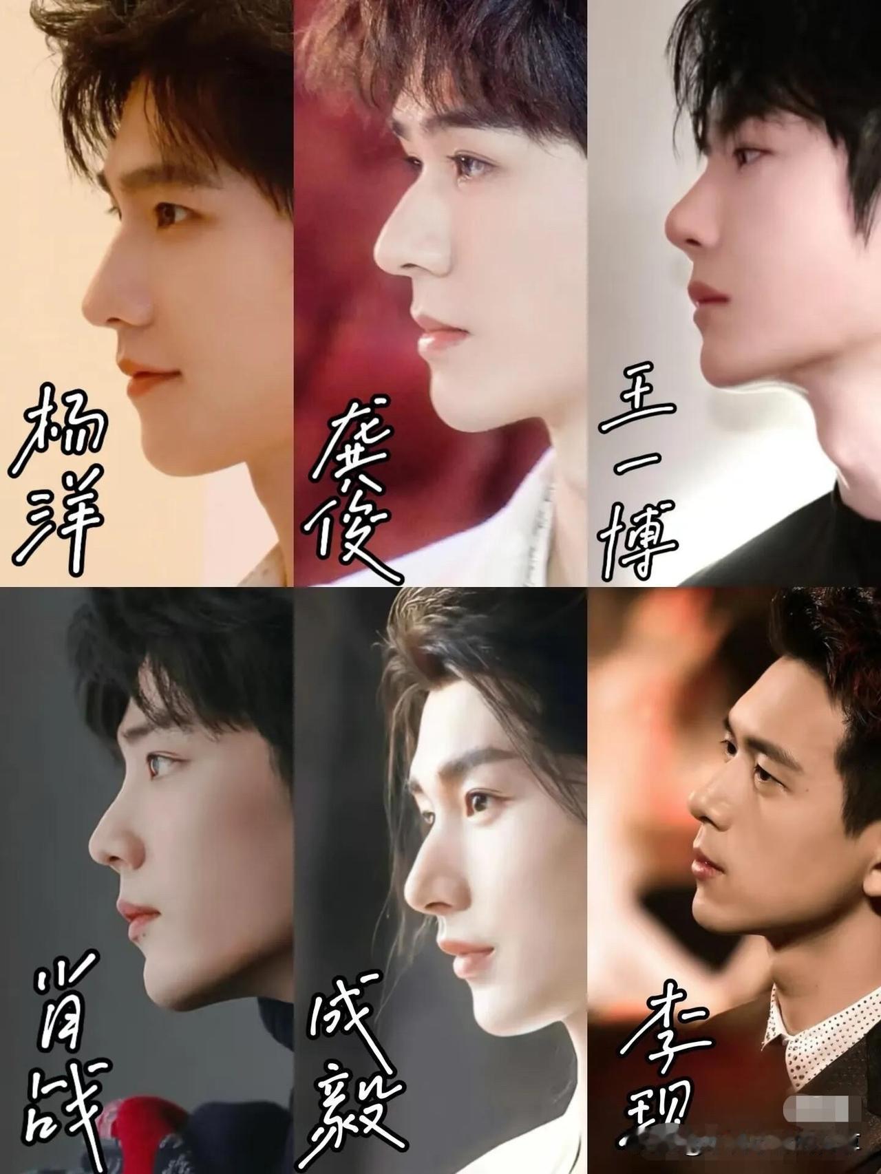 6位帅哥里，最完美的侧颜是杨洋，鼻子立体，眼神深邃，棱角分明，阳光俊朗，非常有魅