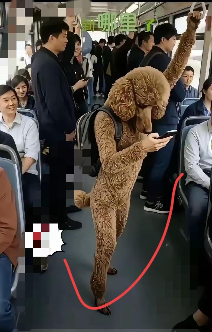 对,你没有看错!这确实是一个人,别被那身贵宾犬打扮唬住,单看扒