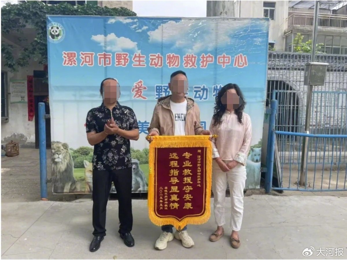惊魂两小时！男子被毒蛇咬伤后生死自救，全国仅一家药厂生产救命血清！