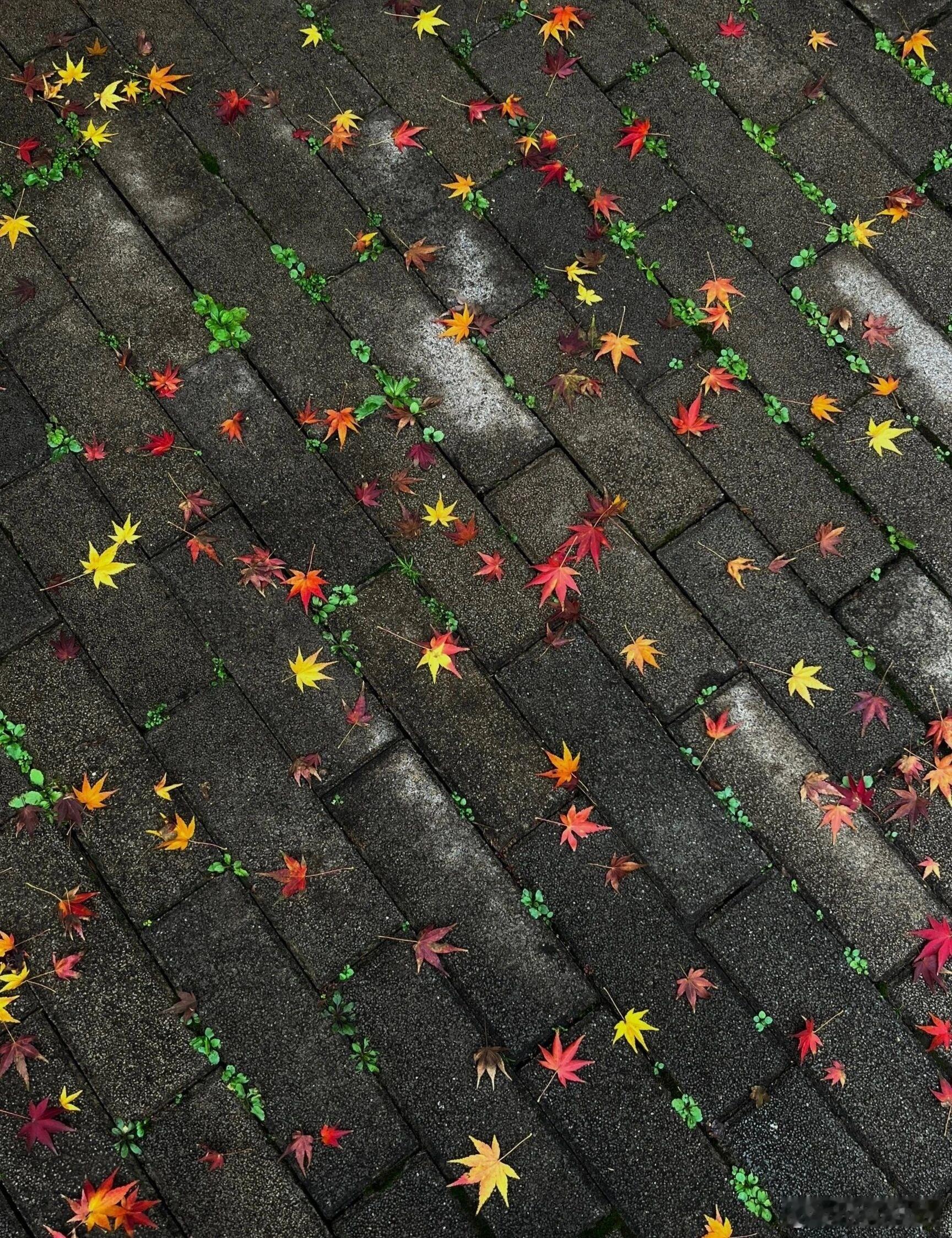 很多人都觉得宋朝“弱”，一辈子没收回幽云十六州，其实有个细节被忽略了那就是后周柴