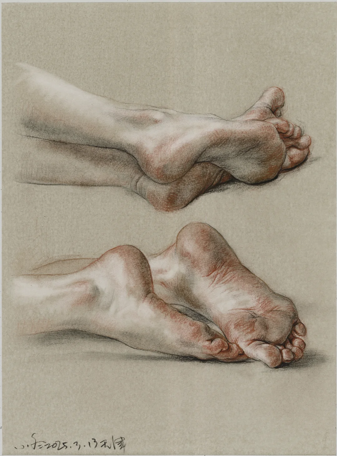 素描展连载之四：人体素描