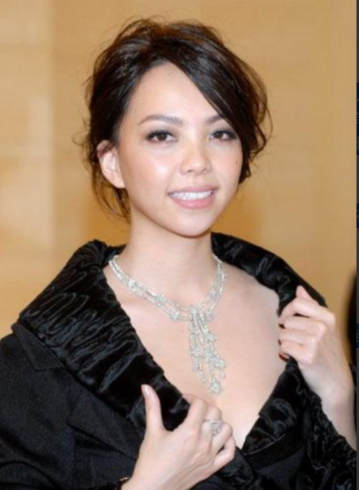 2010年，37岁的张惠妹对31岁的酒吧调酒师一见钟情，她为他砸下1500万，决