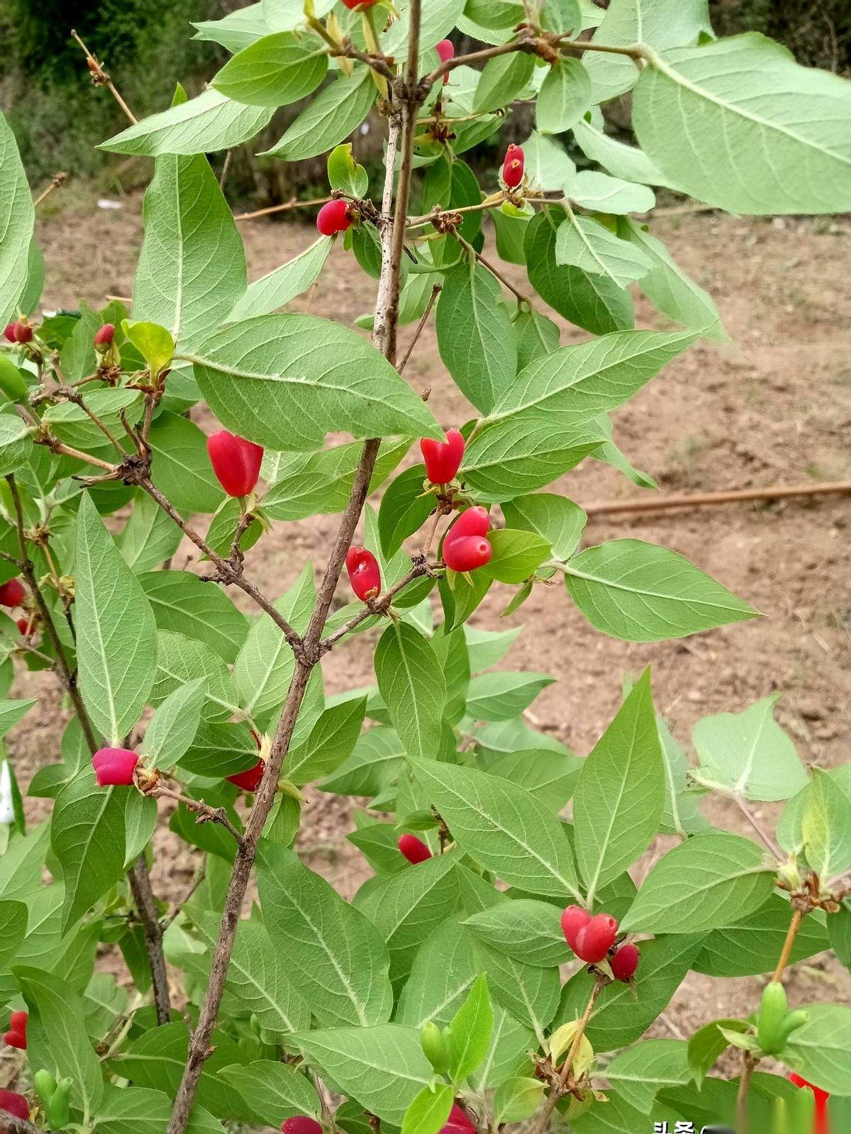 朋友圈最扎心的一条潜规则是：真正希望你过得好的人，没几个。尤其是在你通讯录里的
