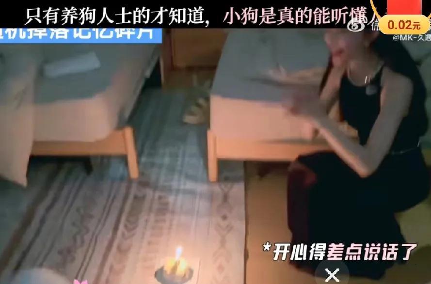 孟子义的狗“巧克力”上演搞笑“塌房”现场笑不活了！孟子义的爱犬“巧克力”意外成