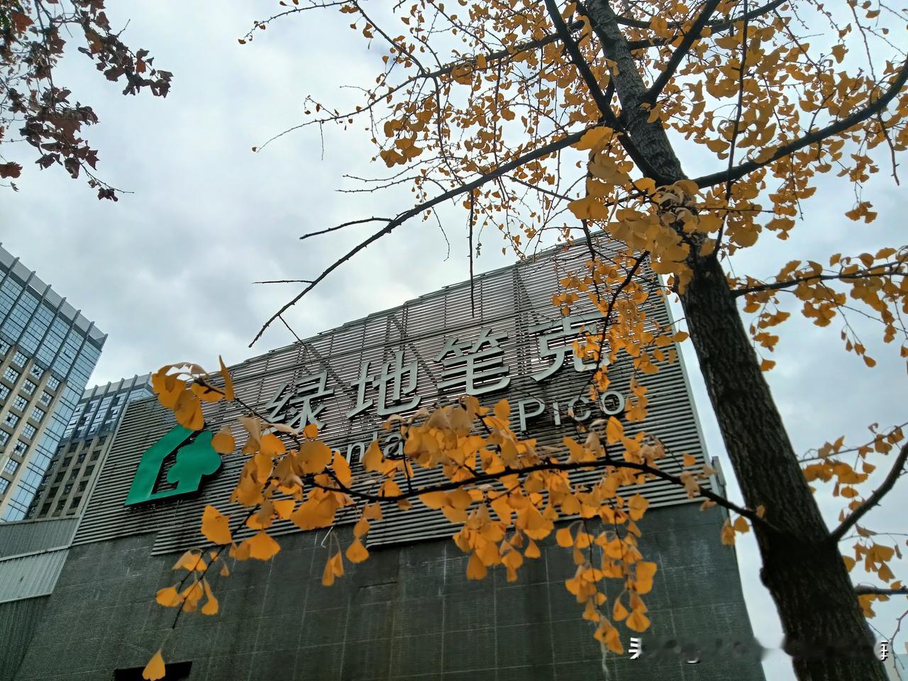 去南三环锦业路附近办个事之余，就近到雁南公园走了一程。12月的公园已经是一片寒意