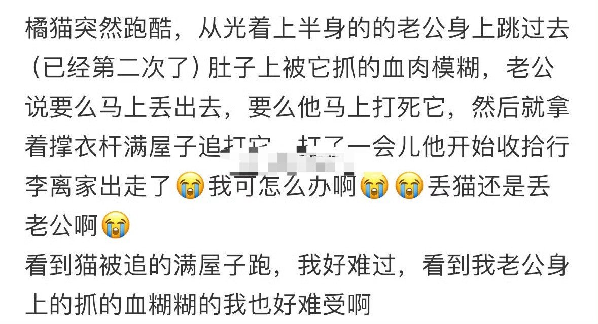 丢猫还是丢老公啊？😳​​​