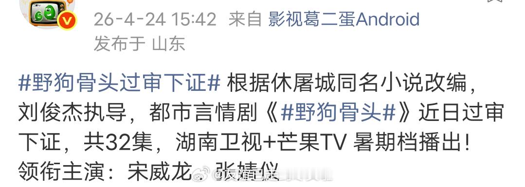 宋威龙张婧仪《野狗骨头》过审下证了，32集湖南卫视+芒果TV，暑期档押宝大剧