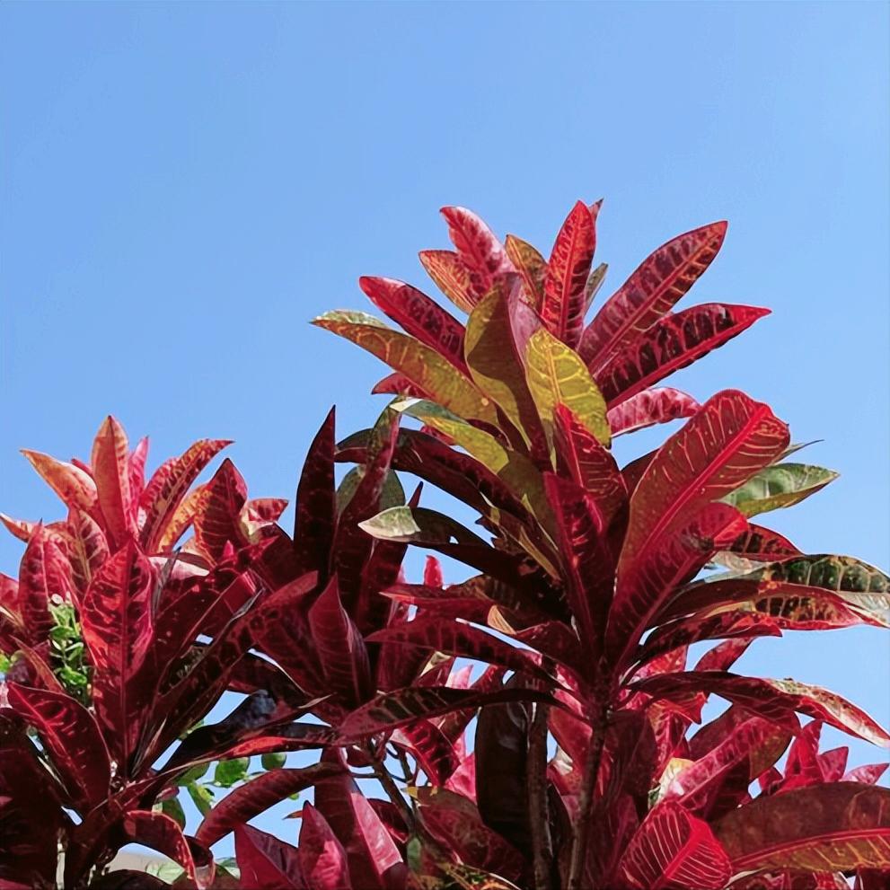 贵州：党纪政务处分2人 12月19日10:30，贵州：党纪政务处分2人，分别