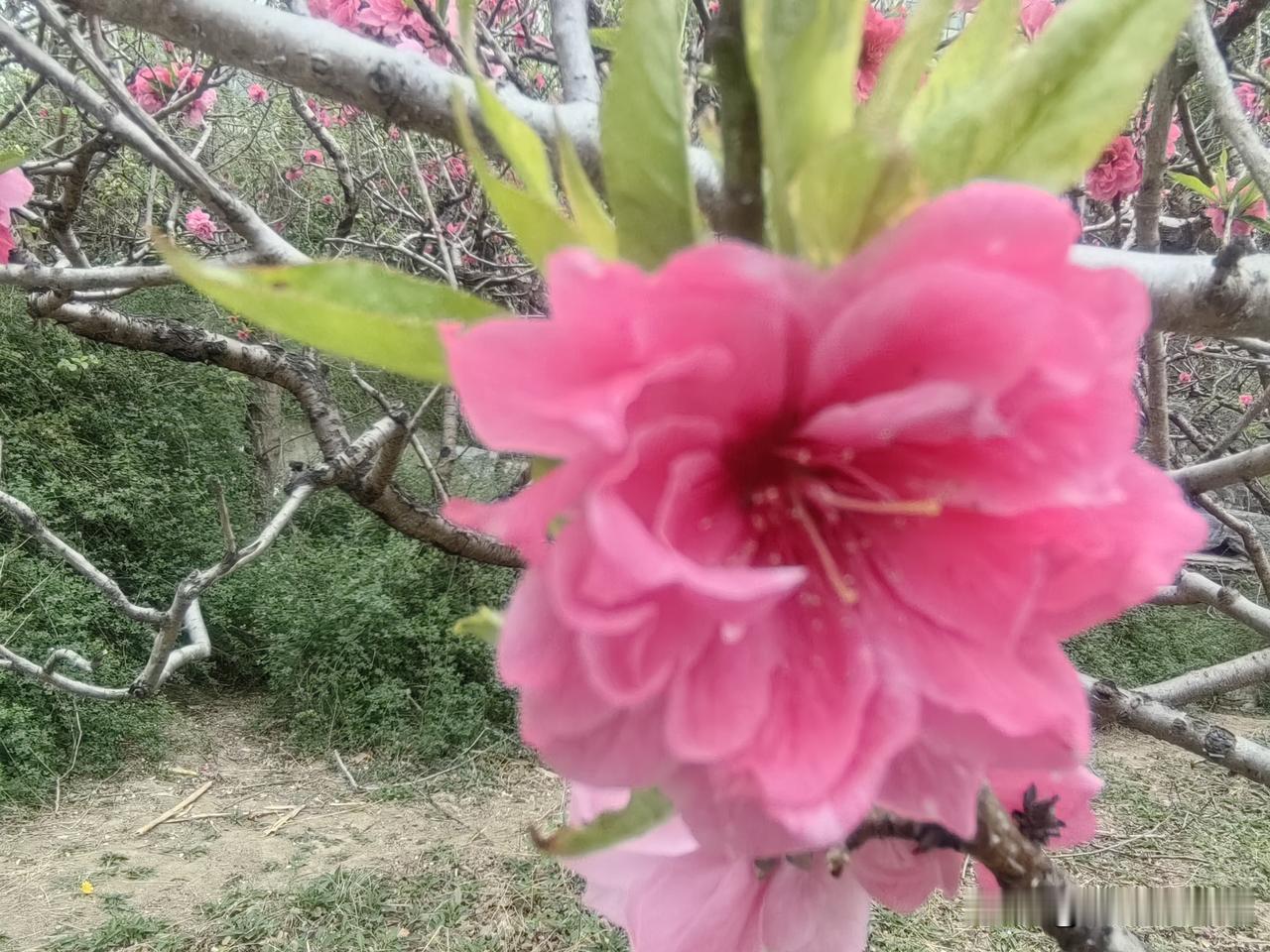 当你接触的人越多，你越会发现，只要你在认真做事，比你层次高的人会鼓励你，同层次的