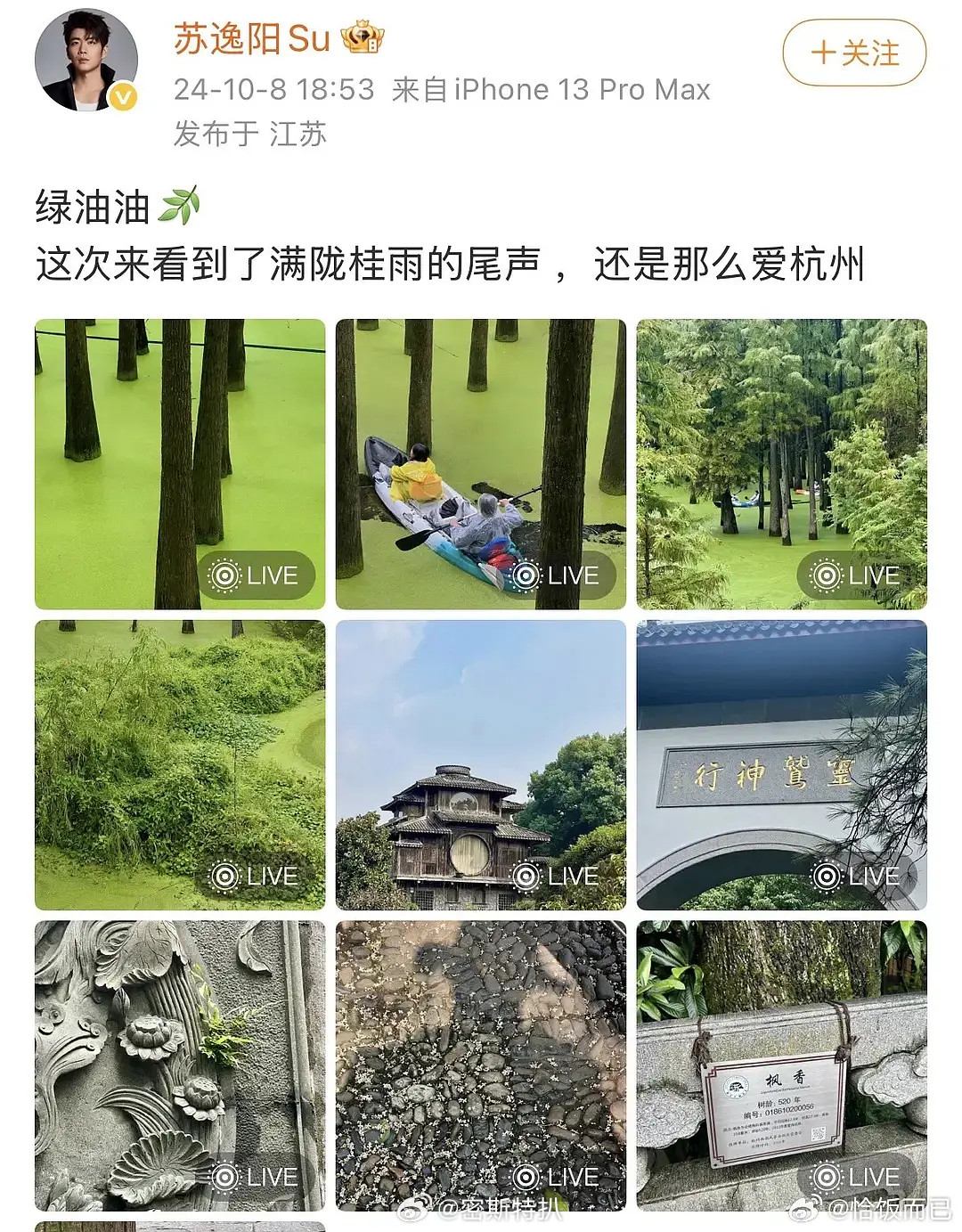 近期爆出来这对是真gay子啊？24年就在一起了