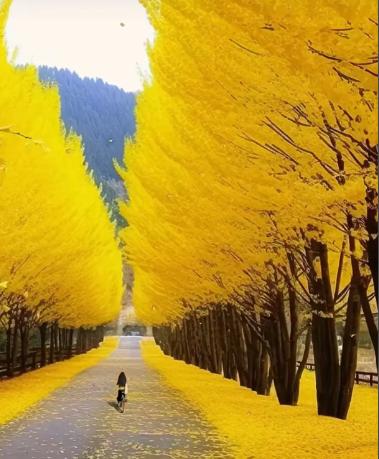 很共情的一段话:“活到现在才明白,认知越高,教养越好的人,越不适合在底层生活,因