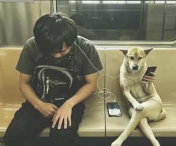 外网的mean图怎么也这么搞笑[扁嘴]​​​