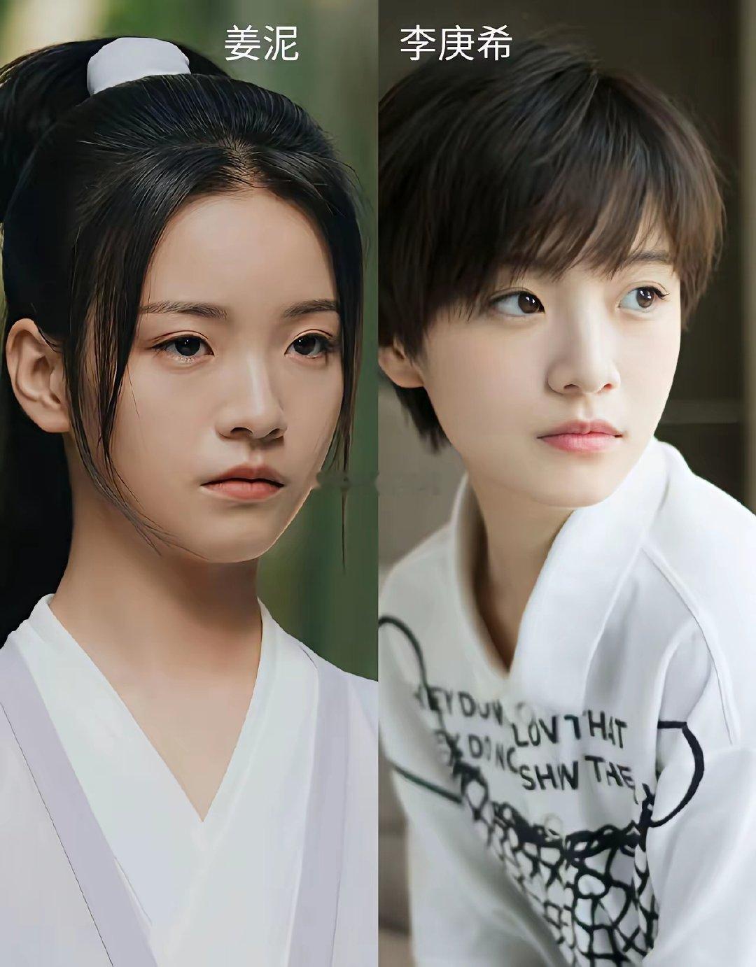 姜泥倒数第一没问题吧？能够把蜗居里傍富女演得出神入化李念的颜值可想而知，所以我推徐脂虎​