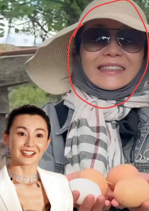 终于理解张曼玉了，为什么宁愿单身也不结婚，不是被爱情伤了，也不是遇不到合