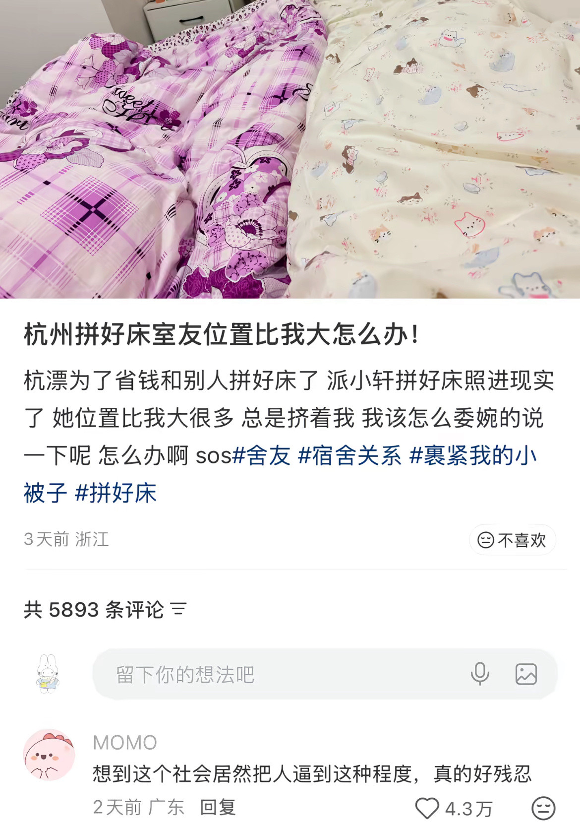 生活是一碗夹生的饭大家都默不作声咽了又咽拼好床