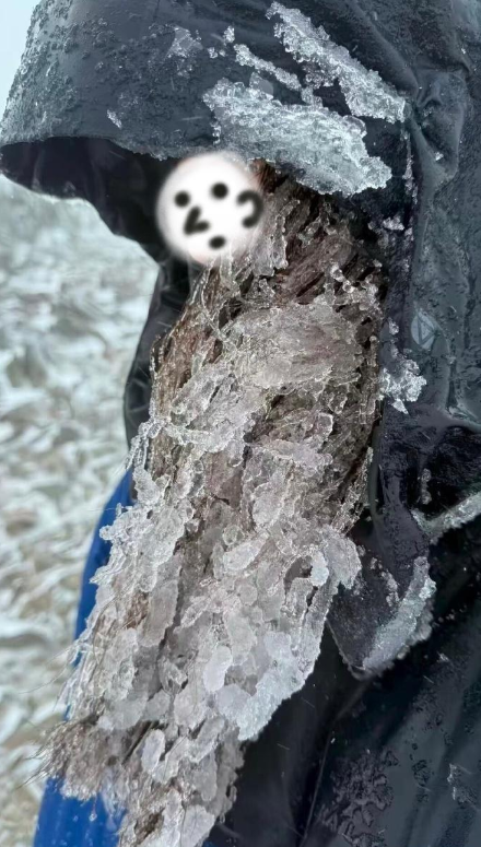 爬雪山不扎头发的下场belike