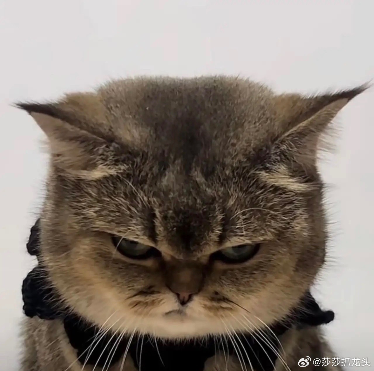 又怕兄弟苦，又怕兄弟开路虎，这就是人心