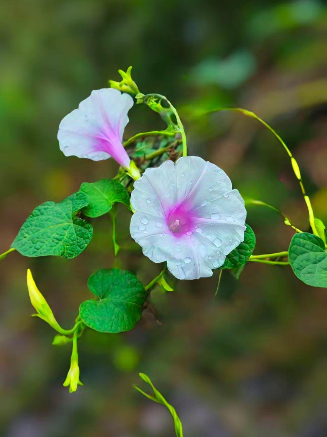 空置房竟然成了员工的“炮房”？忍无可忍，我投诉到了物业领导处！有段时间了，不管白