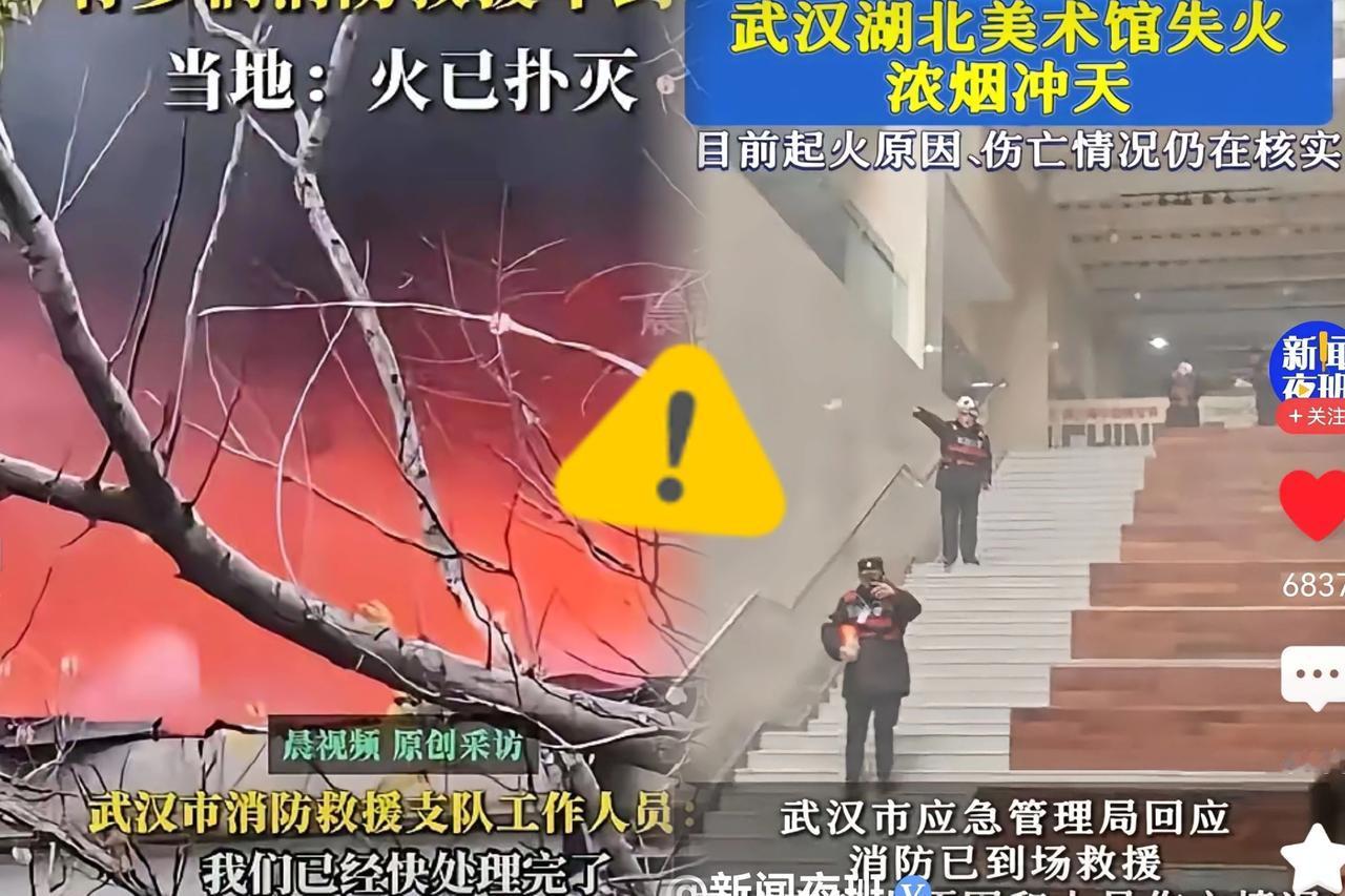 200块打水漂！南博风波后赌美术馆起火，我居然真输了？南博《江南春》事