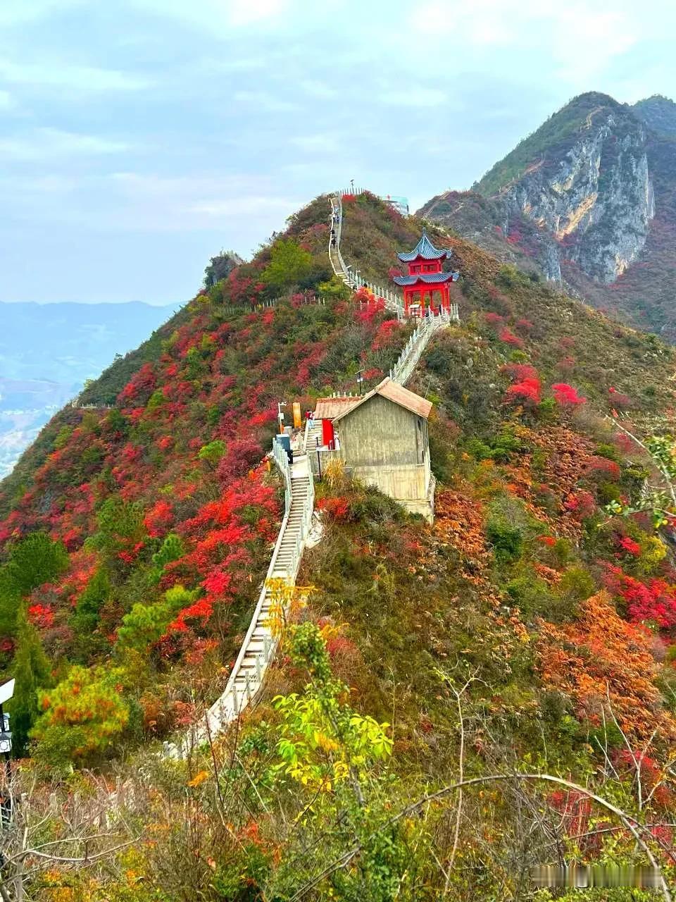 巫山的深秋，景色宜人，是一场盛大的燃烧！阳光斜照，每片叶子都透出光来，原来有