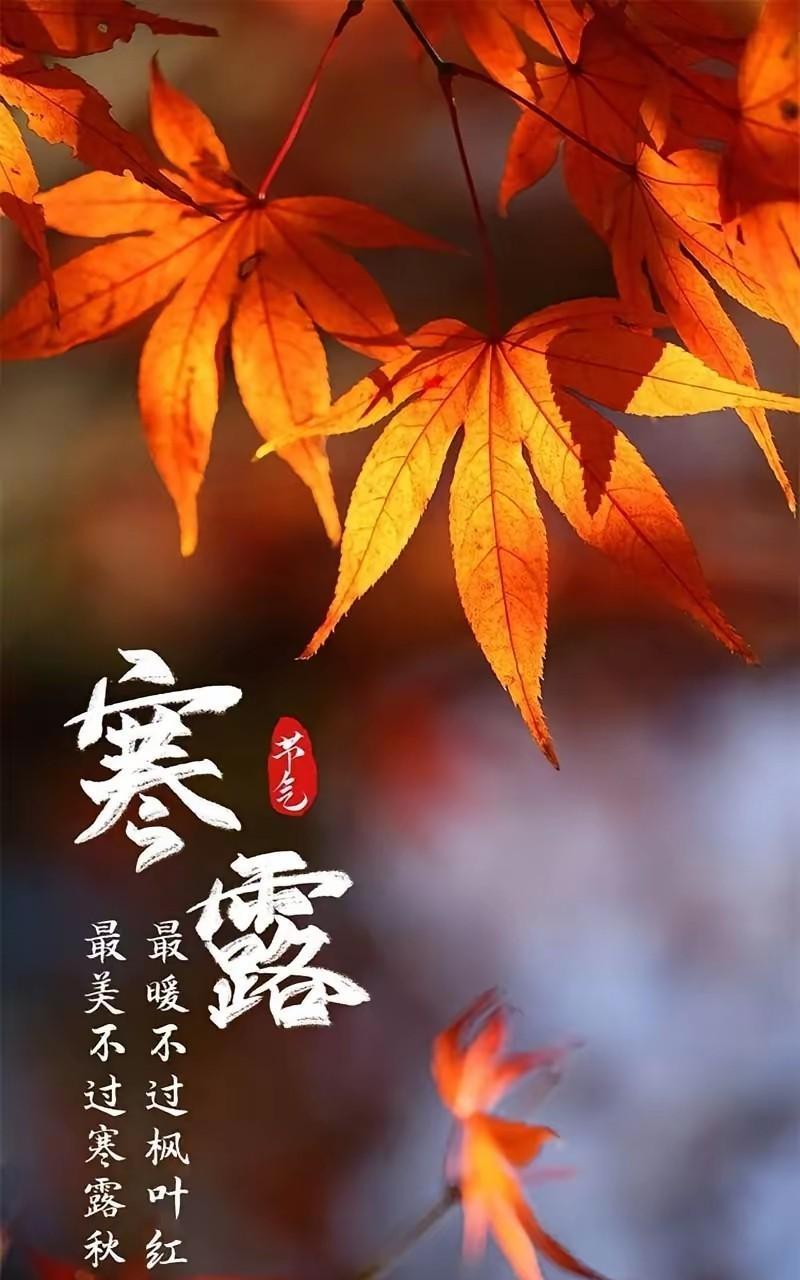 今日寒露，一场秋雨一场寒，十场秋雨就穿棉。秋深露重，请君多保重！秋意浓浓天变凉