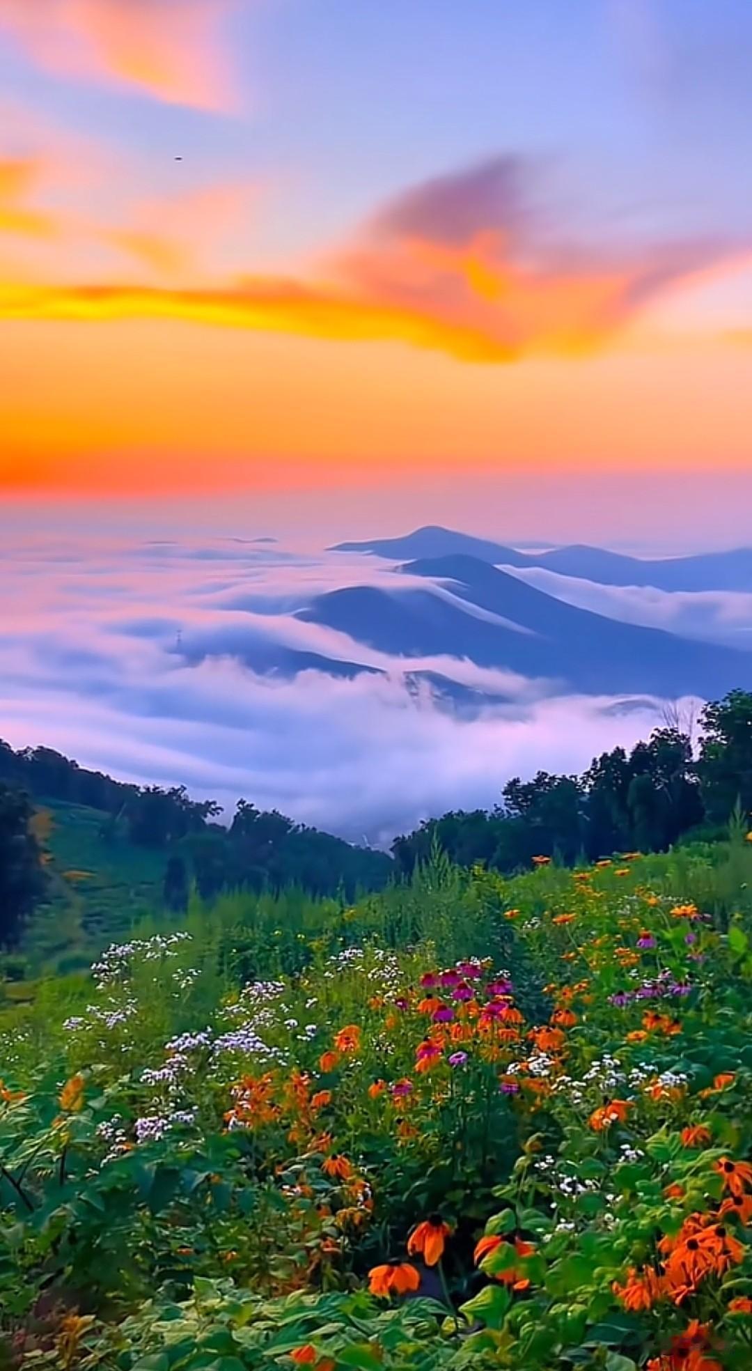 七律·静处幽居门隔尘喧无客扰，幽窗独对晚风轻。案头墨色凝诗韵，盏里茶烟绕