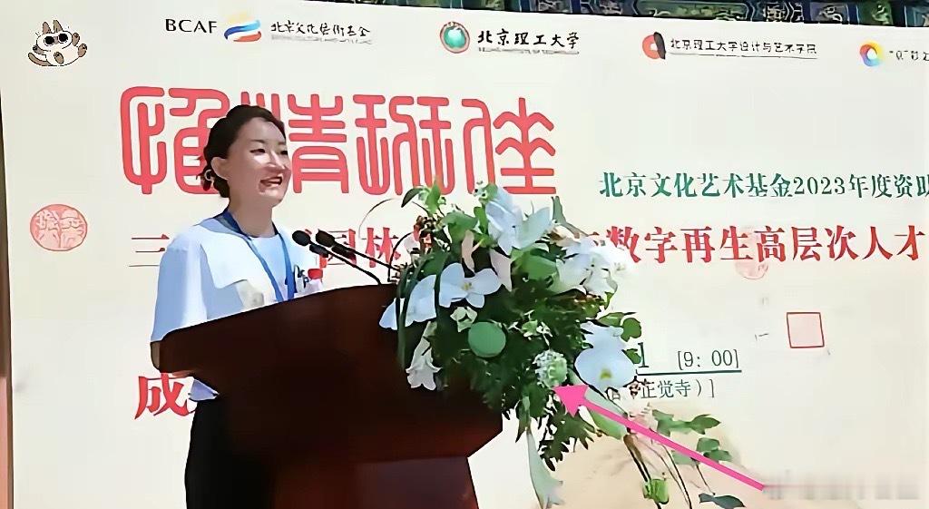 北理工这次引进裴轶，把高校引才最难看的一面，彻底撕开了。说句不客气的，这就是一场