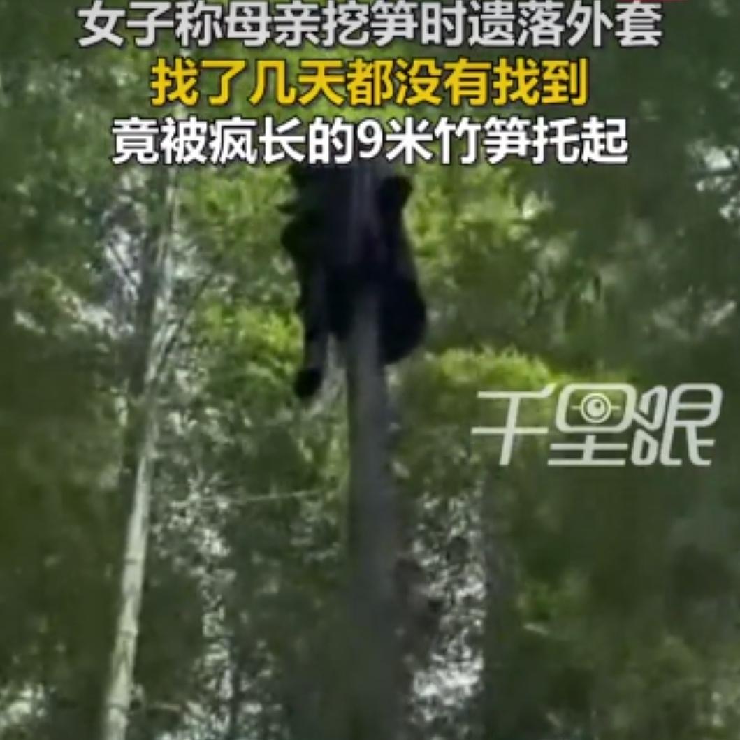离谱又神奇！福建妈妈丢件外套，竟被竹子“偷”去挂高空万万没有想到，福建，一