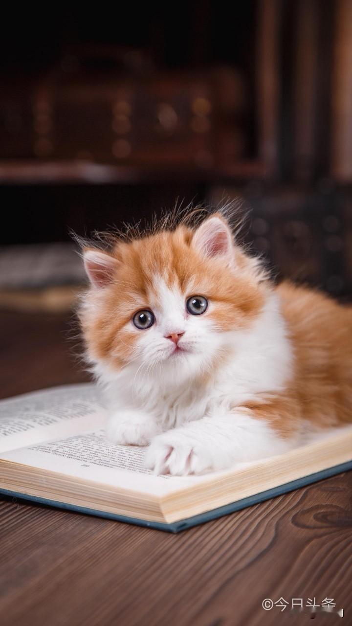 太可恶了现在想想都后怕昨天晚上10点多，突然接到房产中介打来的电话，说我要买