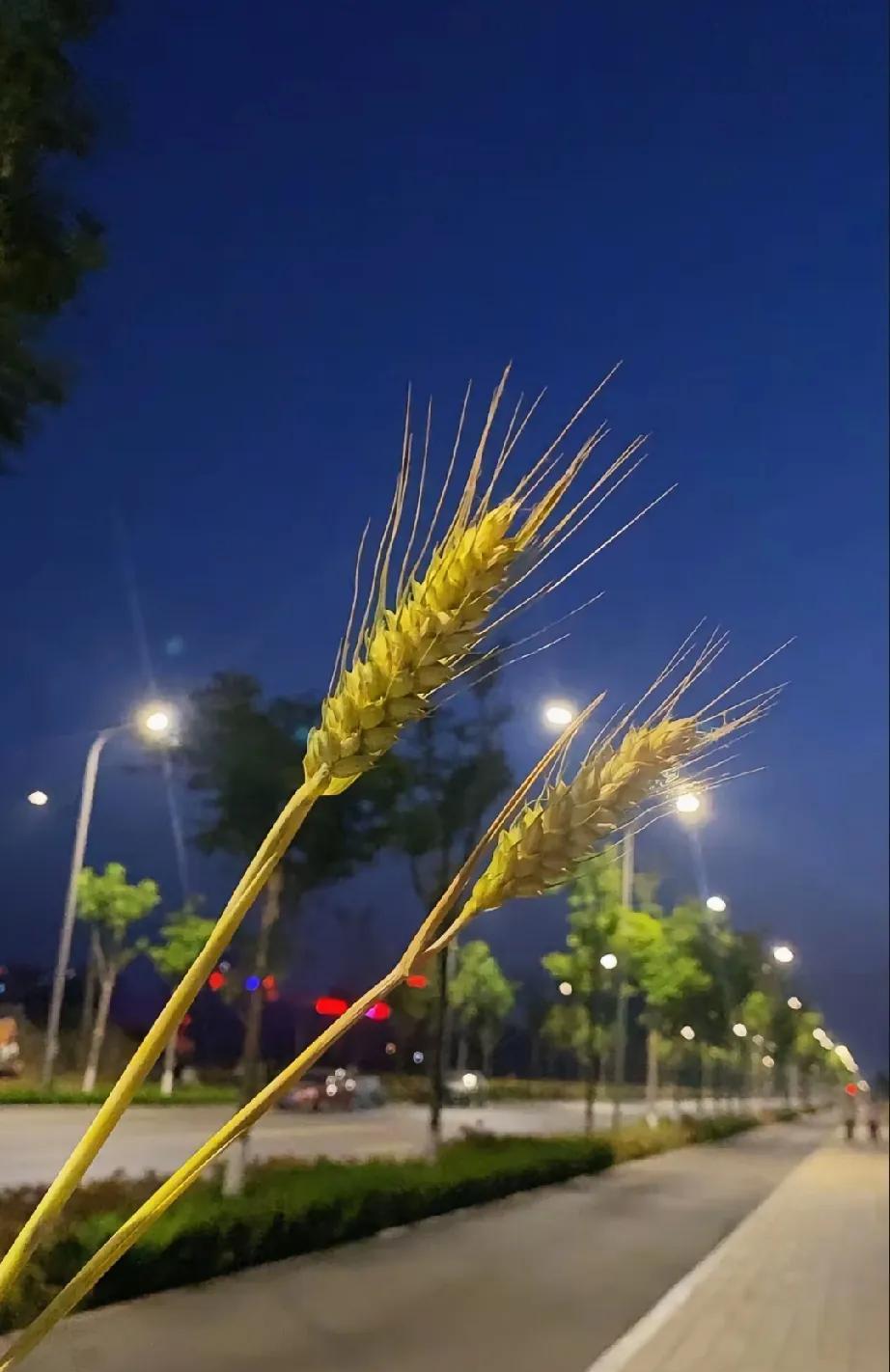 “快乐不难，知足就好，