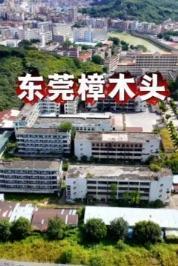 70后打工人的噩梦令人闻风丧胆的樟木头收容所改革开放初期南方提供了大量的就