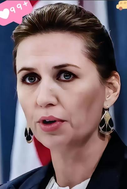 丹麦突然宣布了1月11日，丹麦议会国防委员会主席拉斯穆斯·亚勒乌表示，如果因