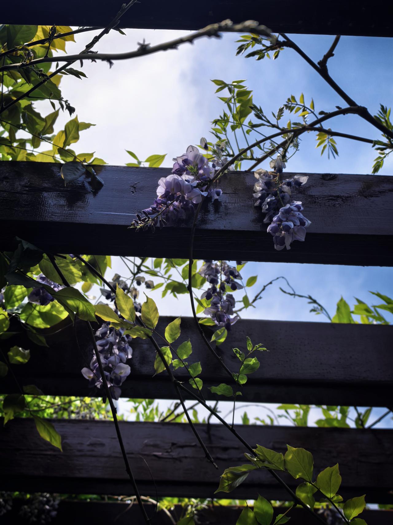 一个热水器，引出我家七八万装修！退休了就不能对自己好点吗？我们家卫生间热水器