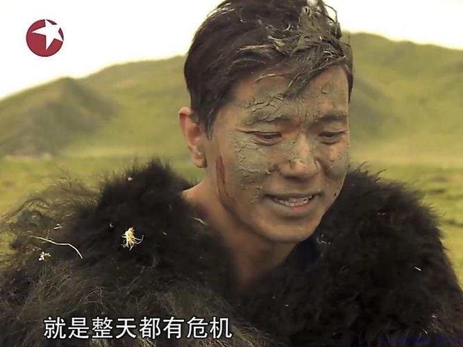 伪“荒野求生”意义何在伪“荒野求生”只是流量驱动下的荒诞剧，与真实探险精神