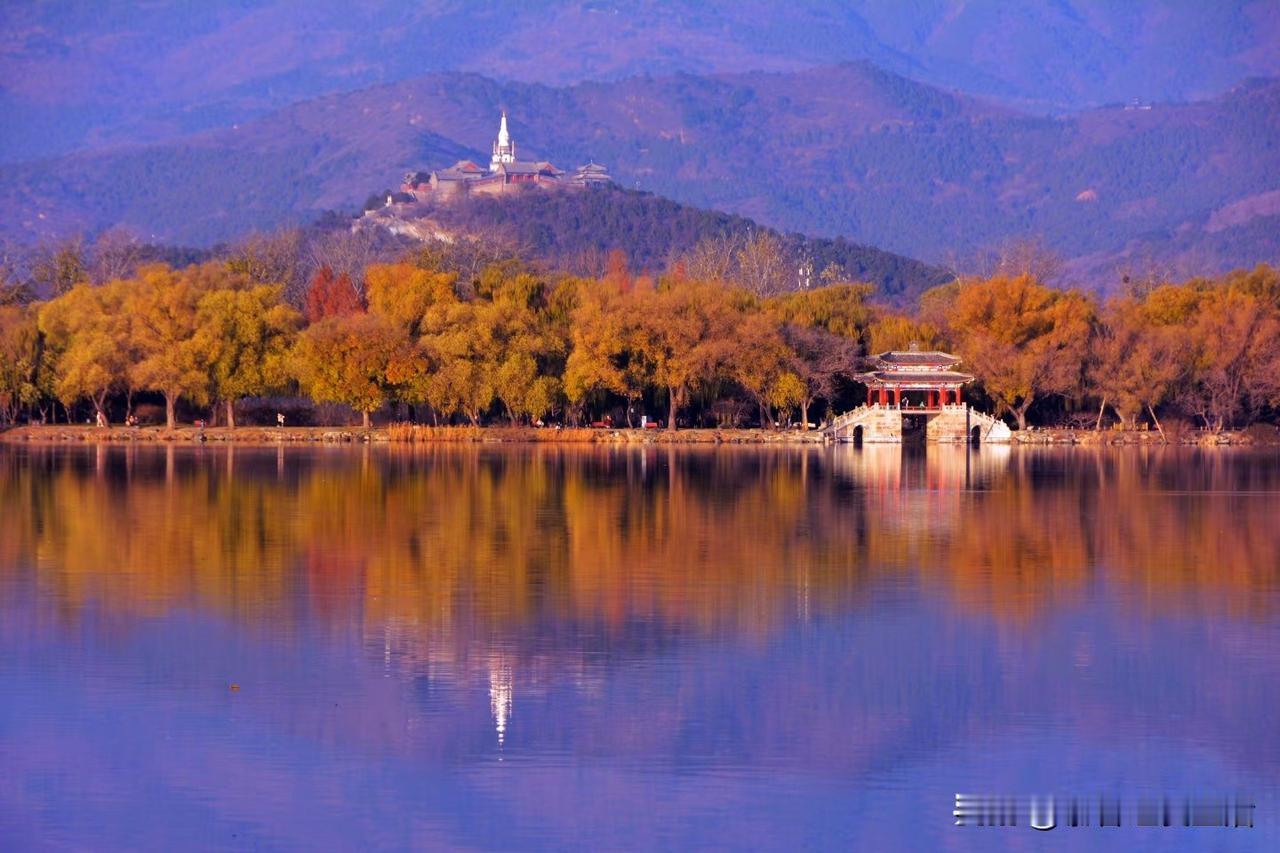 时令已入初冬，颐和园后湖与谐趣园悄然褪去了斑斓秋色，可满园的垂柳却执意将初冬挽作